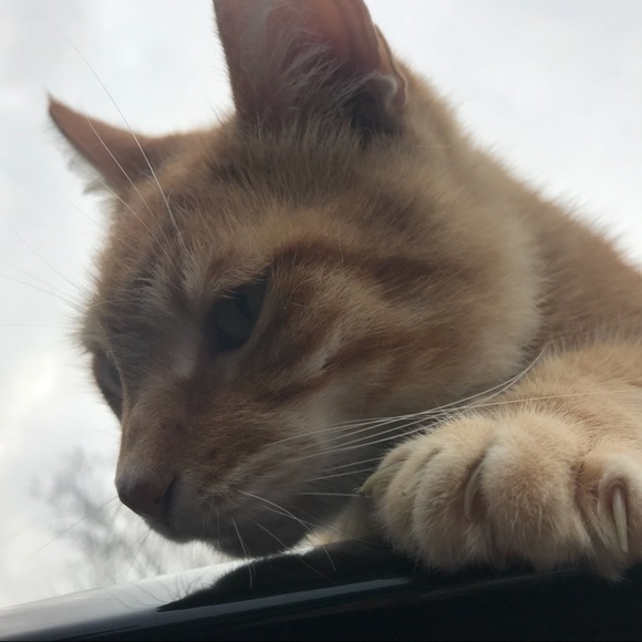 MzPamPosh - Picture 5 of 8